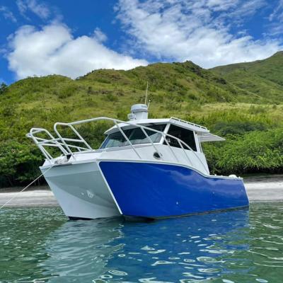 China 8.9m twin hull motor yacht catamaran speed cabin cruiser rough sea rough sea fishing boat 29ft for sale for sale