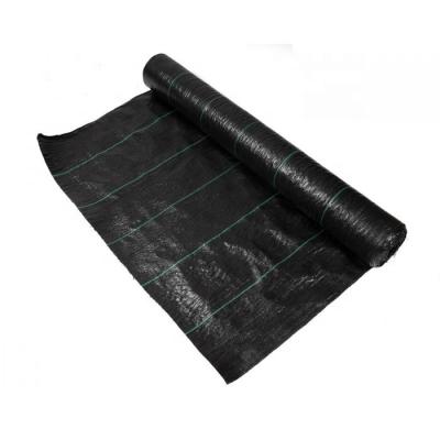 China Weave PP Woven Fabric Weed Barrier Feathery Stiper Blocker Cover for sale