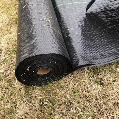 China Weave PP Weed Fence Mat Landscape Fabric for sale