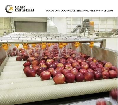 China Fruit Processing Apple Juice Pulp Puree Production Concentrate Making Processing Plant for sale