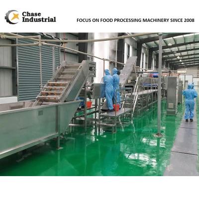 China Automatic Sugar Cane Juice Beverage Concentrate Production Milling Fruit Processing Making Processing Plant for sale