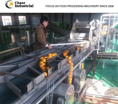 China Fruit Processing Lemon Juice Beverage Dried Lemon Making Production Plant for sale