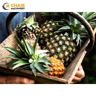 China Pineapple Juice Puree Beverage Production Processing Fruit Processing Making Filling Line for sale