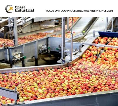 China Fruit Processing Production Plant Apple Juice Beverage Puree Concentrate Making for sale