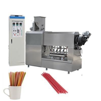 China environmental protecting popular pasta straw machine edible straw manufacturing plant for sale for sale