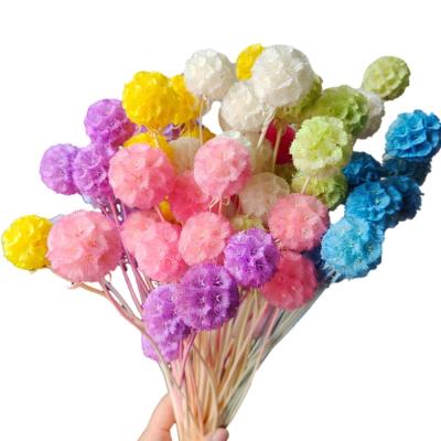 China Natural Touch Preserved Flower Morning Bride A Group Of 10 Household Flower Stems Arranging Decoration, Office Decoration Party Decoration for sale