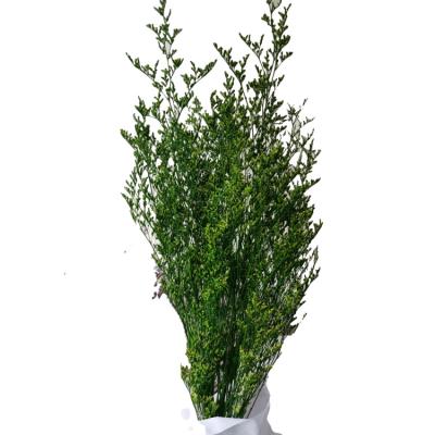 China Natural Touch Preserved Flower Limonium Per 100 Gram Bunch Household Flower Arranging Office And Party Decoration Lover's Grass for sale