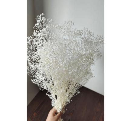 China Natural contact preserved flower baby's breath for household flower arrangement 90-100 grams of gypsum for making handicraft products for sale