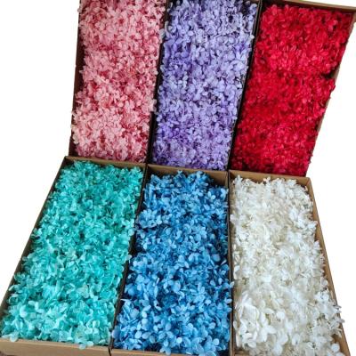 China Beautiful Colorful Preserved Hydrangea Woody Hydrangea Box For Christmas Decorations For Drop Glue Accessories Flower Materials For DIY Flowers for sale