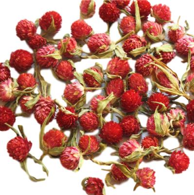 China Natural Dry Head Blossom Globe Amaranth Flower Tea for sale