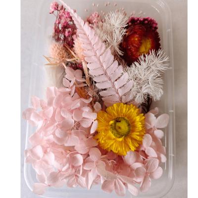 China 6 Styles Real Pressed Flower Preserved Flower Necklace Craft DIY Epoxy Pendant Natural Dry Plant Mixed Colorful For Candle Phone Case for sale