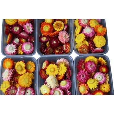 China Real natural chrysanthemum flower dry natural materials made of crafts for sale