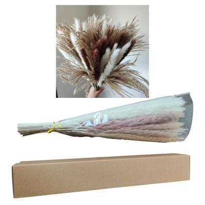 China Pampas Grass Flower Natural Dry Pampas Grass For Decoration Mixed Bouquet Amazon Hot Product for sale