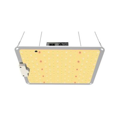 China Seed Starting Most Popular Full Spectrum Lamp 100 Watt Lm301b Chips Professional Grow Light For Hanging Board Led Plant for sale