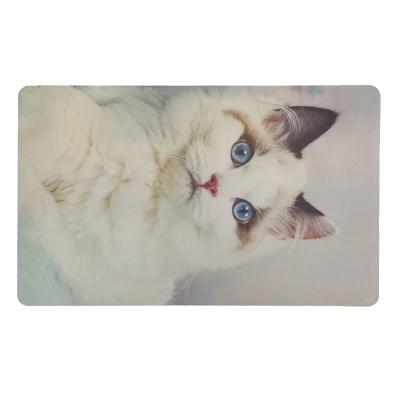 China Non-slip Non-slip Bath Mat For Bathroom Floor Mat Photo Non-Slip Super Absorbent Quick-drying Non-slip Mat for sale