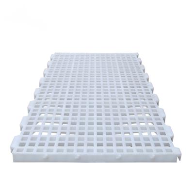 China Plastic Breeding Operation Bird Chicken Farm Slat Poultry Flooring for sale