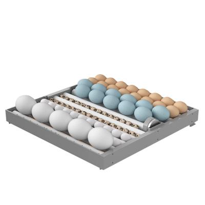 China Multifunctional High Quality 192 Pieces Chicken Egg Incubator Hatching Machine For Farm Factory Direct Supply for sale