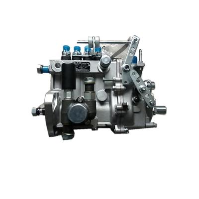 China fuel system kangda fuel injection pump BH3Q65R7 (3Q28) 3 cylinder fuel injection pump for sale