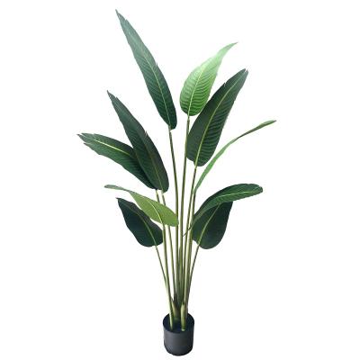 China APT-30 Eco-friendly Artificial Bird Of Paradise Plant for sale