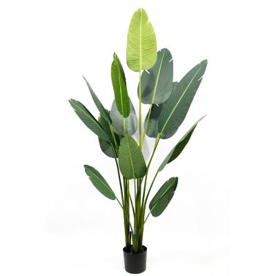 China New Arrival Decor Eco-friendly Birds Of Paradise Tree Flower Plastic Banana Artificial Plants For Sale for sale