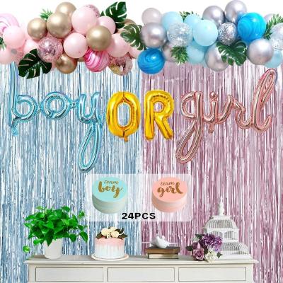 China Party Decorations Boy or Girl Gender Reveal Party Decoration Kit Curtain Balloon Garland Team Boy Girl Stickers Includes Foil Balloon Tinsel for sale