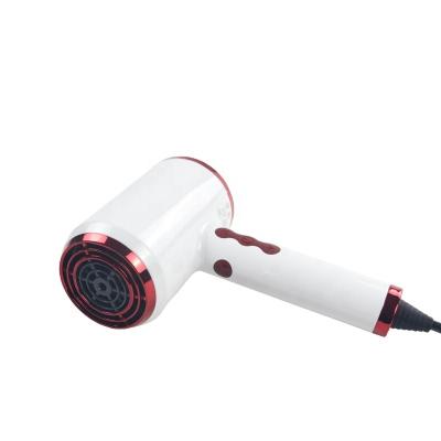 China BLECTOR 220V/110V professional portable ionic salon hair dryer hot sale for sale