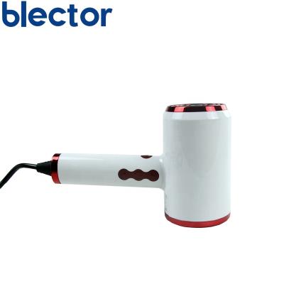 China BLECTOR 220V/110V Ionic Portable Adjustable Speed ​​and Temperature Handheld Hair Dryer for sale