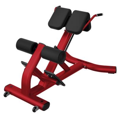 China Durable Standard Wholesale Professional Body Building Commercial Use Fitness Equipment Back Extension And Roman Chair for sale