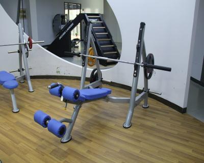 China Eco-friendly Health Device Fitness Equipment Gym Club Use Machine Gym Drop Bench for sale