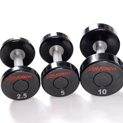 China Hot Sale Home Gym Club Gym Equipment Fitness CPU Material Dumbbells Eco-friendly Use for sale