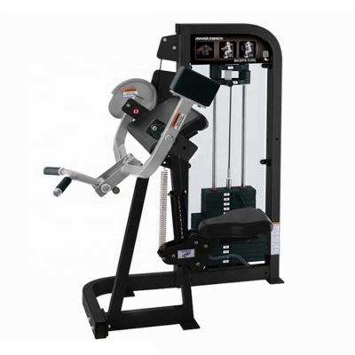 China Eco-friendly Health Gym Equipment Fitness Pin Loaded Biceps Curl Machine for sale