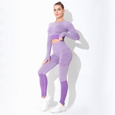 China Breathable Sport Wear Suit Yoga Activewear Two Piece Set Ribbed Style Women Seamless Yoga Leggings Sexy Workout Gym Fitness Sets for sale