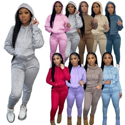 China Custom Women Anti-Wrinkle Jogging Sweatsuit 2 Pieces Set Pullover Hoodie Drawstring Sweatpants for sale