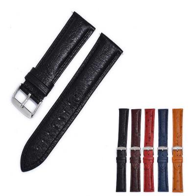 China luxury & Vintage Ostrich Skin Watch Band Strap 18mm 20mm 22mm Genuine Leather Watch Bands Calf Men Woman Quick Release Watch Belts for sale