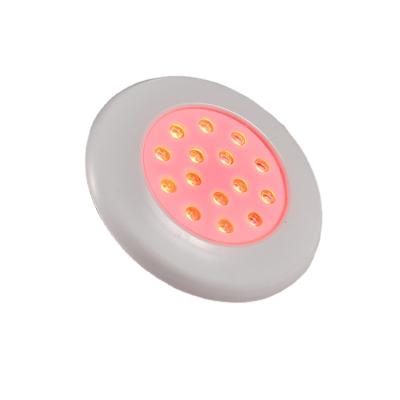 China High Quality Led Light Round Panel LED Swimming Pool Light Flush Light Fixture en venta