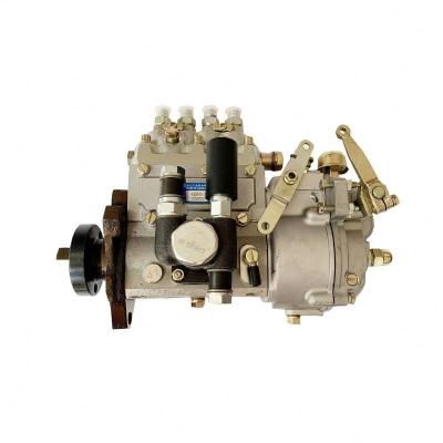 China Sinotruk Howo Truck Yuchai 1YC4D130-48 Engine Parts D7300-1111010-351 Fuel Injection Pump for sale