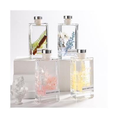 China Flower Preservation 2023 New Air Cool Essential Square Bottle Dry Reed Oil Diffuser Clear for sale