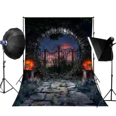 China Selfie Live Background Photography Backdrop Halloween Photo Shooting Visual Background for sale