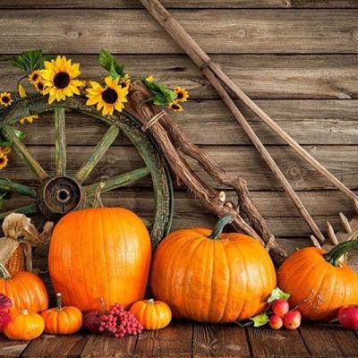 China Seamless Customized Studio Props Thanksgiving Day Pumpkin Backdrop Background for sale