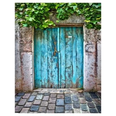 China Door Window Backdrop Seamless Backing Printed Photography Background for sale