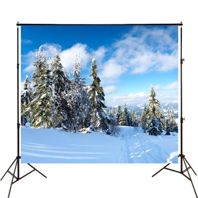 China Winter Snowy Snowy Forest Background Sunshine Backdrops For Photography Seamless Photo Studio for sale