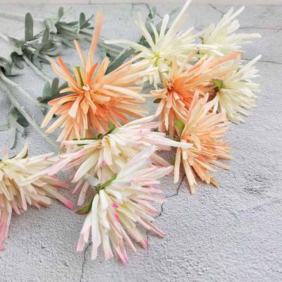 China Cloth/3 Plastic Heads Flocking Home Gerbera New Desig Of Artificial Chrysanthemum Flower Crab Claw Chrysanthemumfor Wedding Decoration for sale