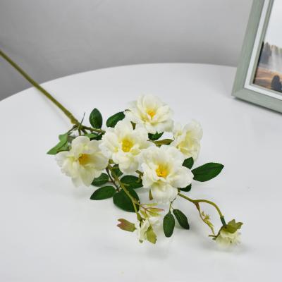 China Wedding Artificial Flower Monthly Roses 7 Heads Wedding Decoration Home for sale