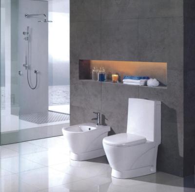 China YC-A0194 Double-flush toilet from other bath and toilet supplies for sale