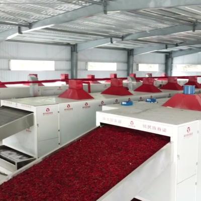 China Spicy Pepper Chili Drying Equipment Food Processing Hengshou Hot Air Circulating Dry Continuous Belt Chili Dryer Machine Red Peppers Condiment for sale