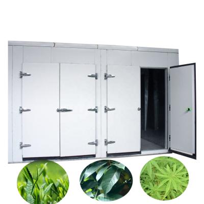 China High Efficiency Food Processing Hot Fanned Tea Leaf Dehydrateor Drying Oven Machine for sale