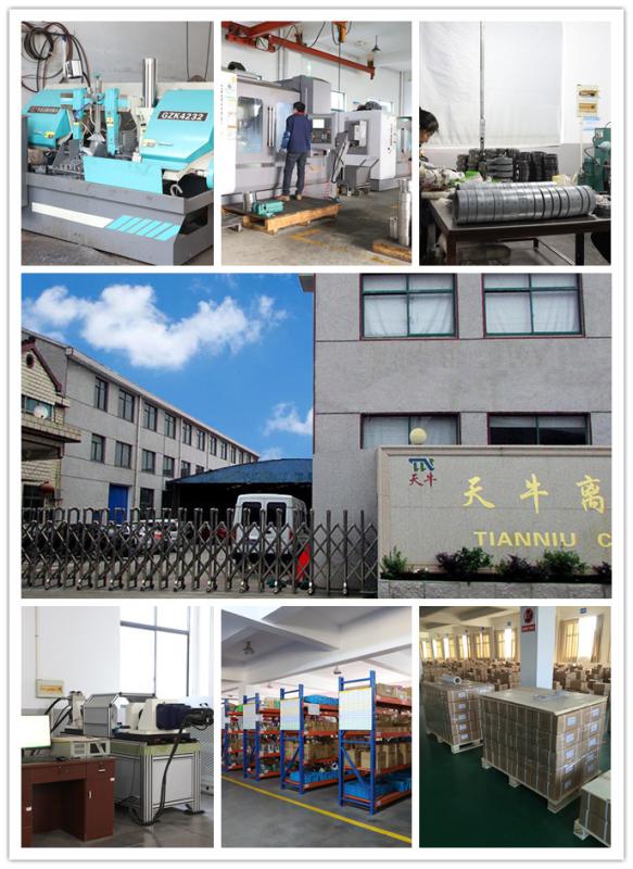 Geverifieerde leverancier in China: - Changzhou Tianniu Transmission Equipment Co., Ltd