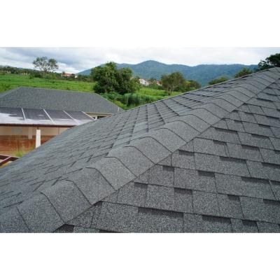 China Newest 1000x145mm Asphalt Shingles Tegole Low Price Dimensional Roofing Materials Roof Panels for sale