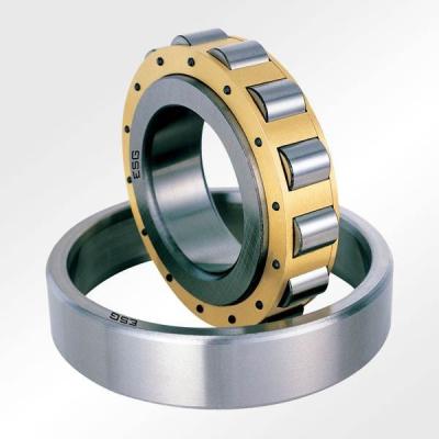 China Custom Made Machinery TMB RN309 RN309M Cylindrical Roller Bearing Carbon Steel Africa China America Europe Long Time Good Prompt for sale