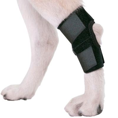 China Amazon Sustainable Hot Selling Adjustable Dog Leg Knee Brace Support Wraps Breathable Dog Legs Protect Tool for sale